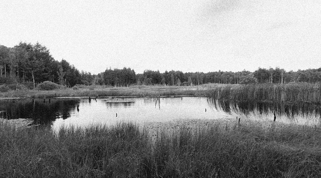 Rašelina z Komárovského blata